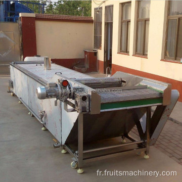 Machine de blanchiment dans les équipements de fruits et légumes